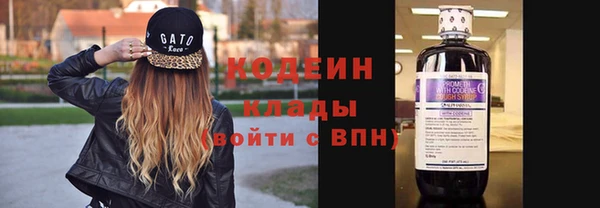 твердый Абаза