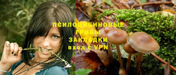 твердый Абаза
