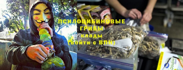 крисы Абдулино