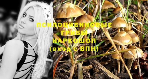 крисы Абдулино
