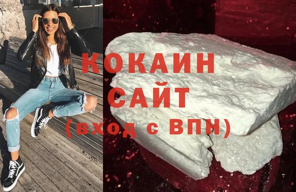 сатива Аша
