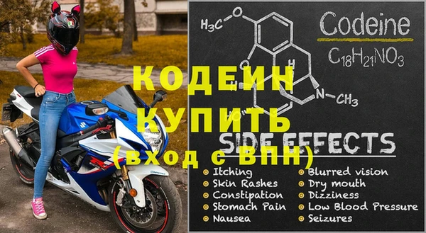 сатива Аша