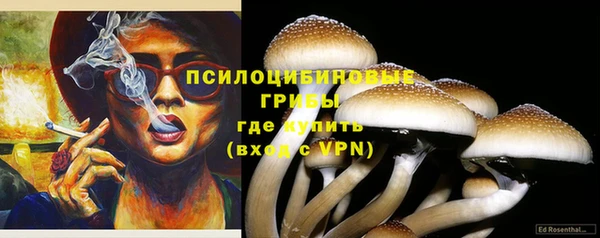 крисы Абдулино