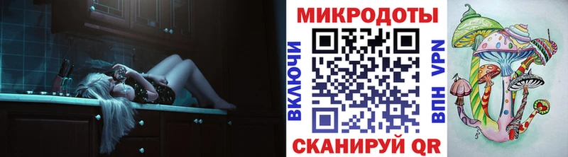 Галлюциногенные грибы Psilocybine cubensis  Новосибирск 