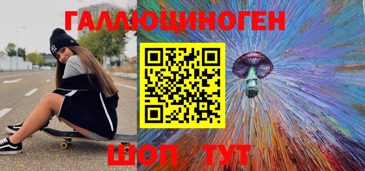 Псилоцибиновые грибы Psilocybe Новосибирск